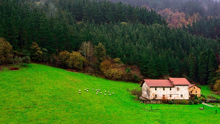 interior verde de Euskadi, zonas rurales de las montañas vascas, para mostrar la forma de vida de los caseríos y sus gentes